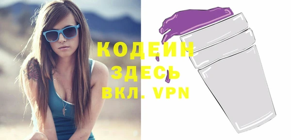 хмурый Касимов