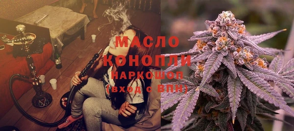 сатива Карпинск
