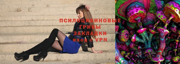 хмурый Касимов