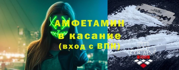 сатива Карпинск