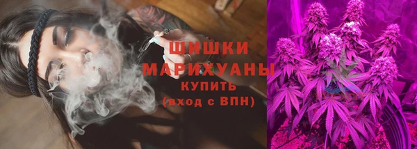 хмурый Касимов