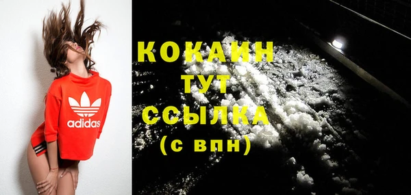 хмурый Касимов