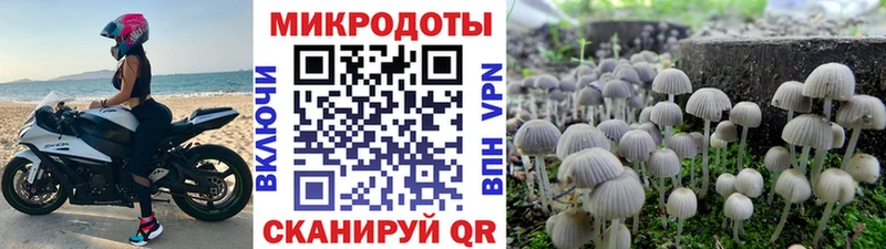 Псилоцибиновые грибы ЛСД  Купить закладки  Славгород 